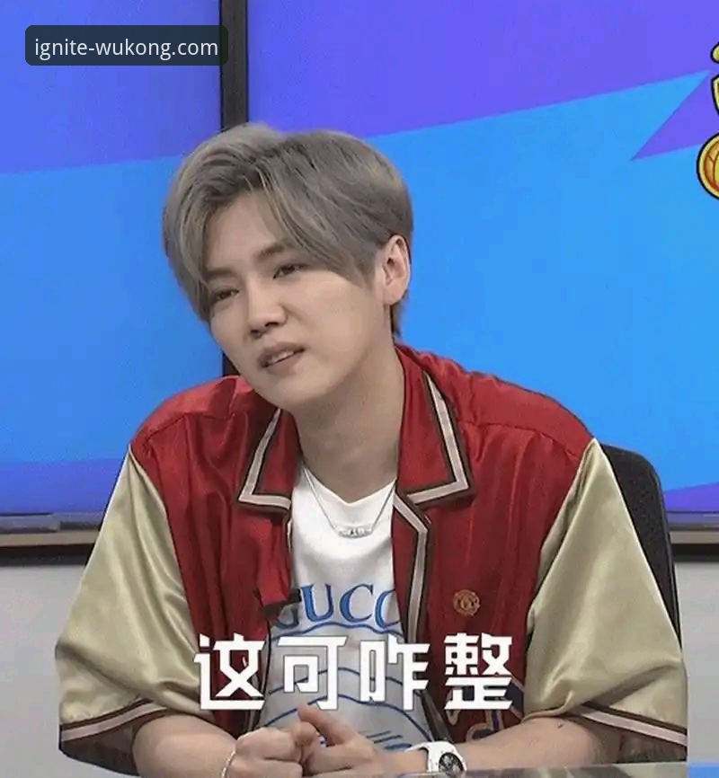 悟空体育电脑版为何成为资深球迷的观赛首选？